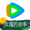 心灵小屋作文600字